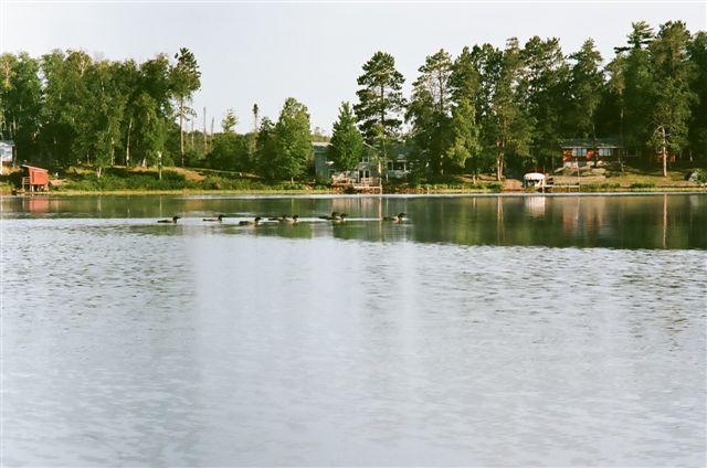 HGOLA0109